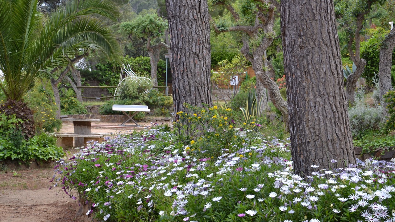 Photo of Outdoor in Calella de Palafrugell