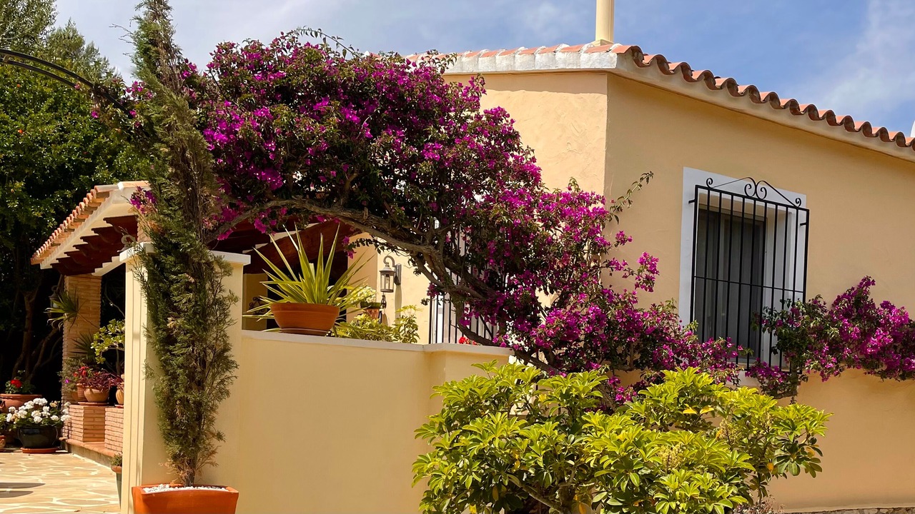 Photo of Outdoor in Denia