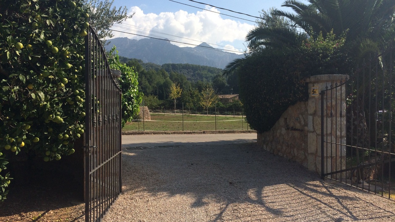 Photo of Others in Soller