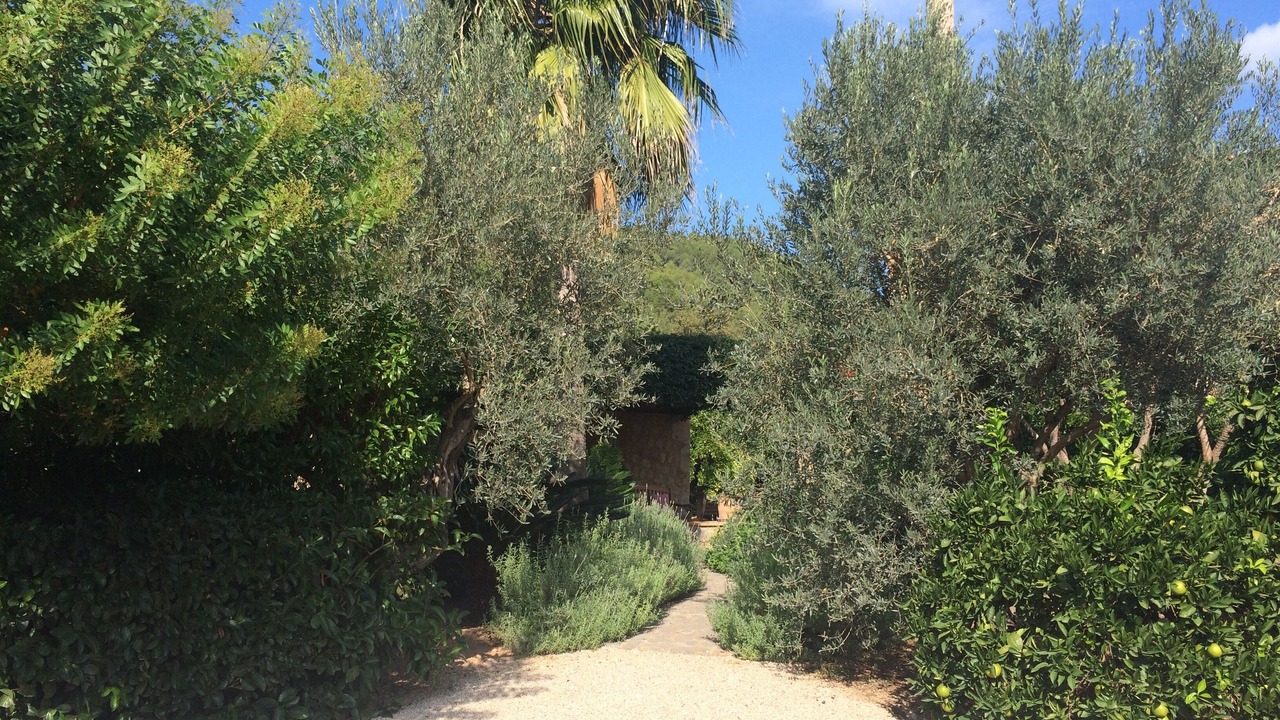 Photo of Others in Soller