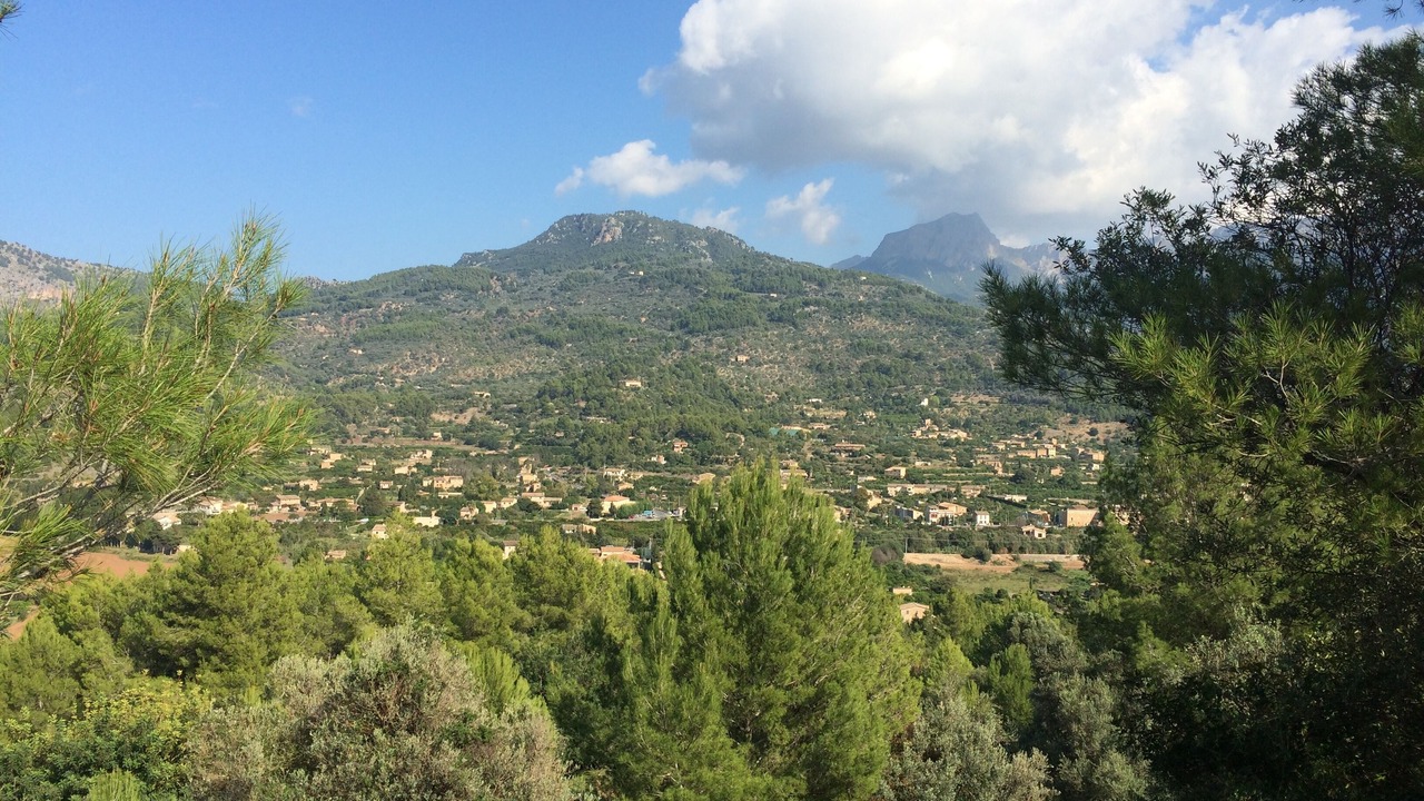 Photo of Others in Soller