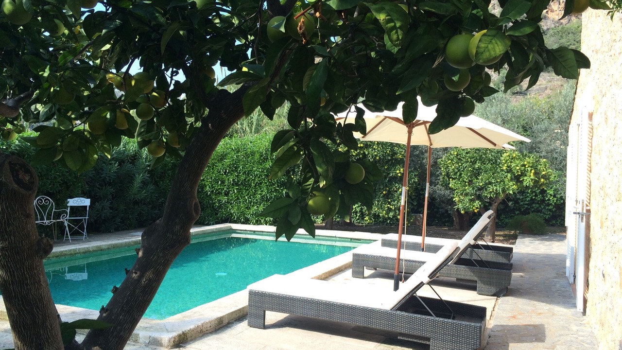 Photo of Outdoor in Soller