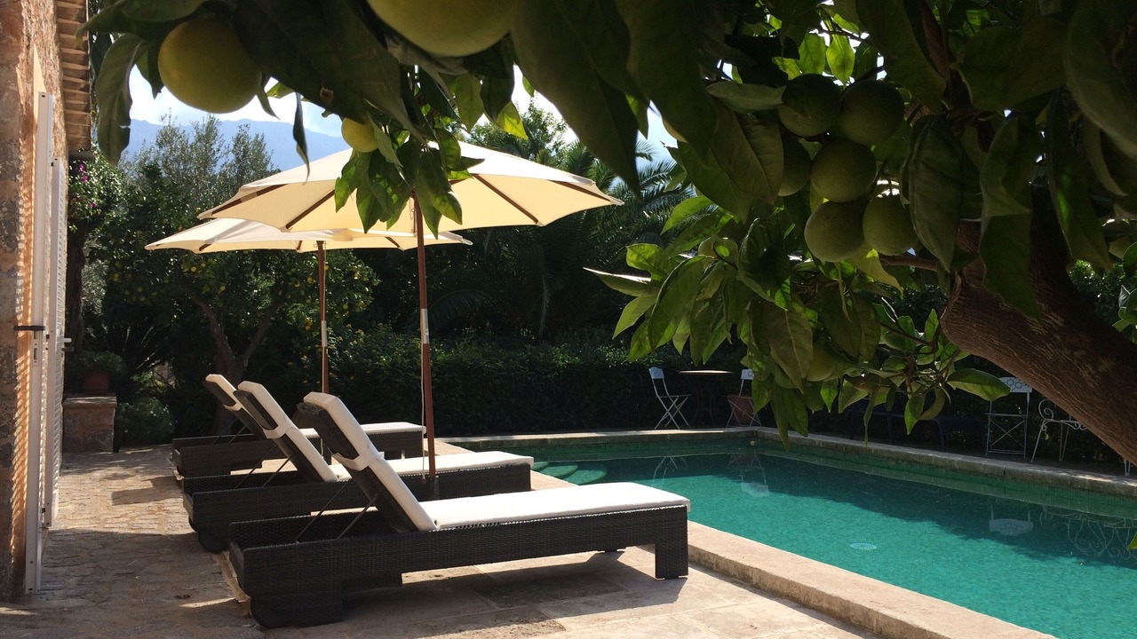 Photo of Outdoor in Soller