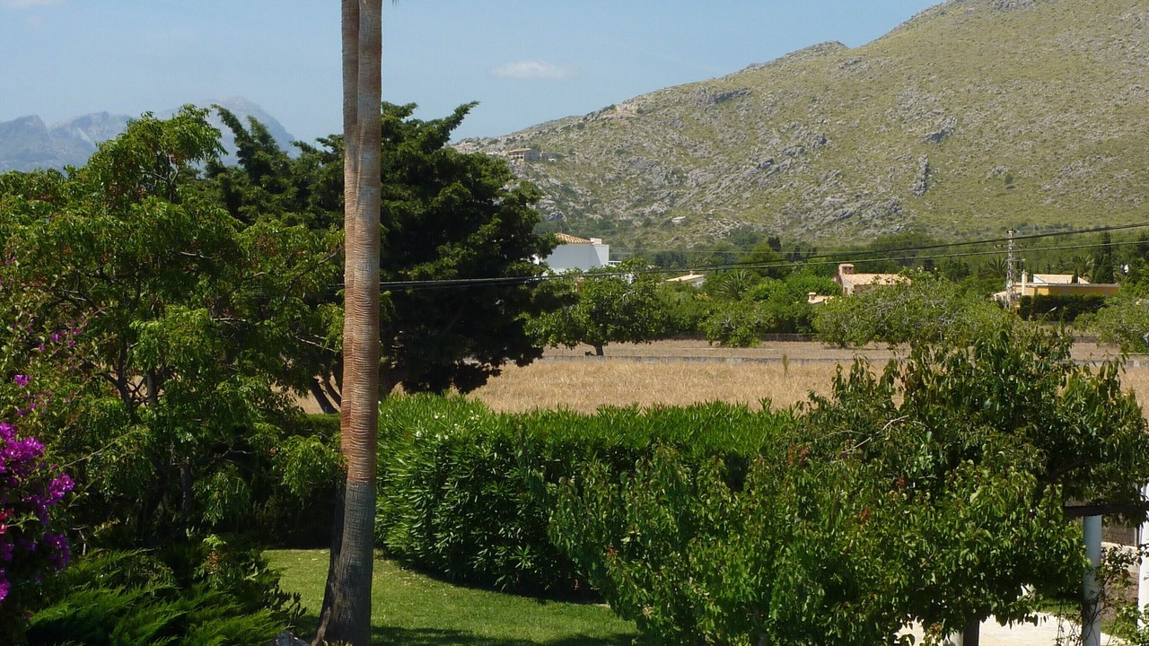 Photo of Others in Puerto de Pollensa