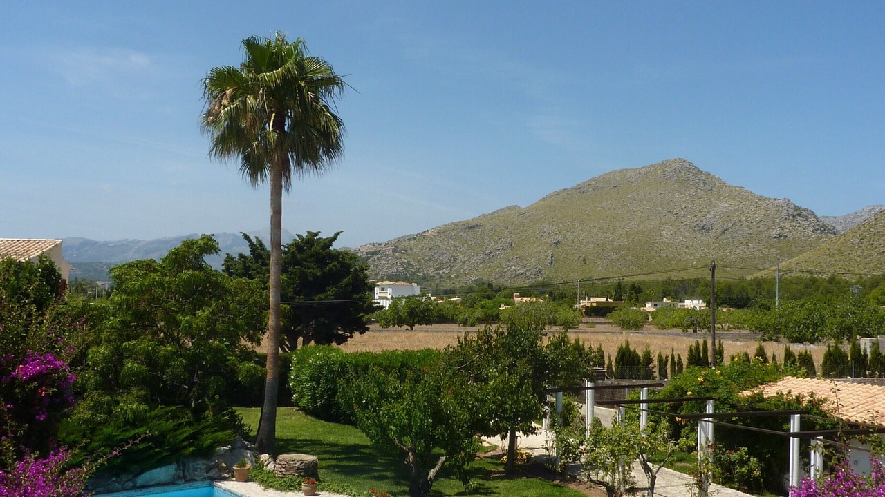 Photo of Others in Puerto de Pollensa