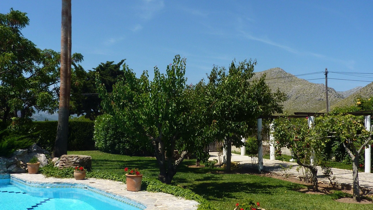 Photo of Outdoor in Puerto de Pollensa