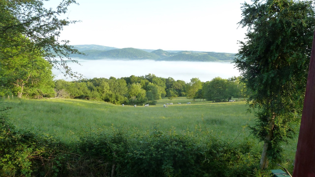 Photo of Others in Larbont