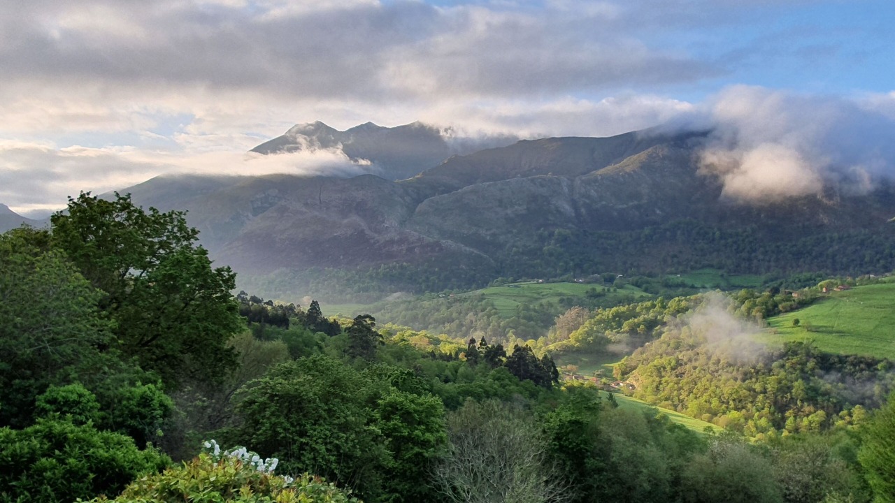 Photo of Outdoor in Puente Nuevo
