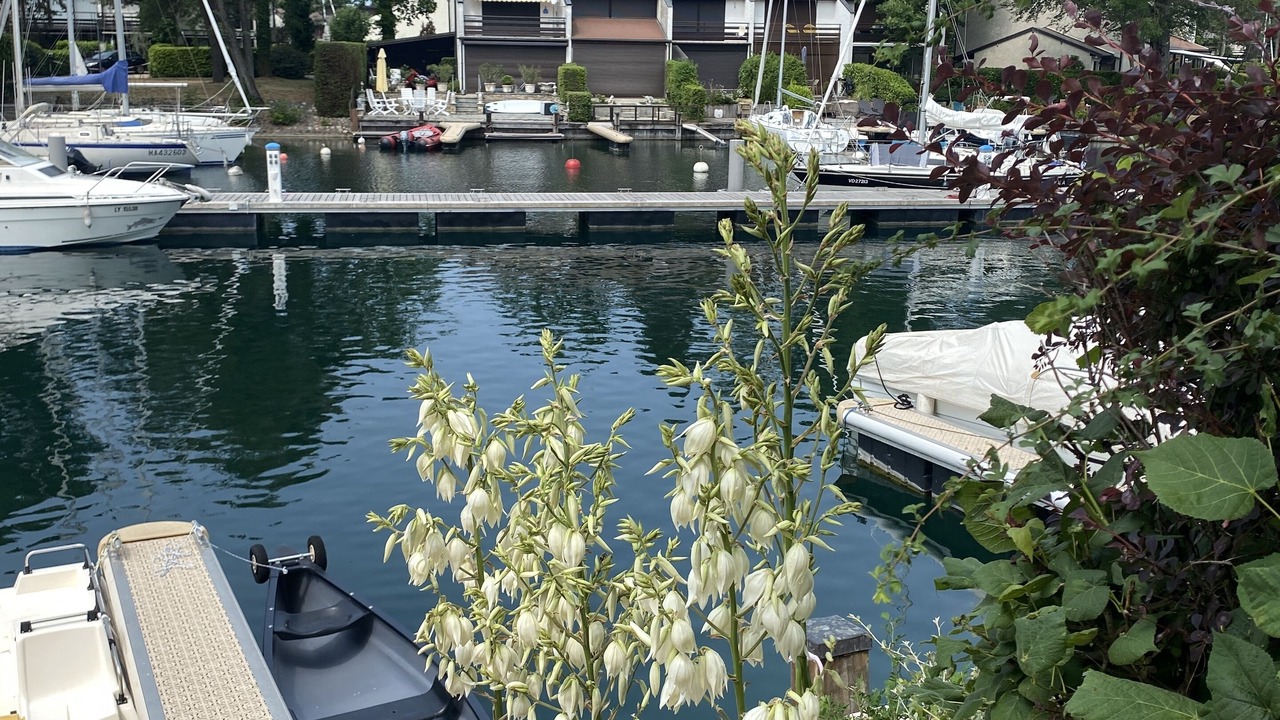 Photo of Others in Thonon-les-Bains