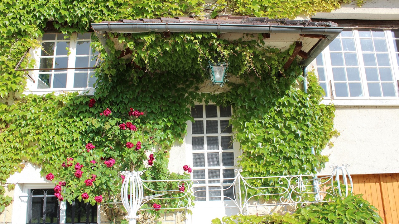 Photo of Others in Condat-sur-Vezere