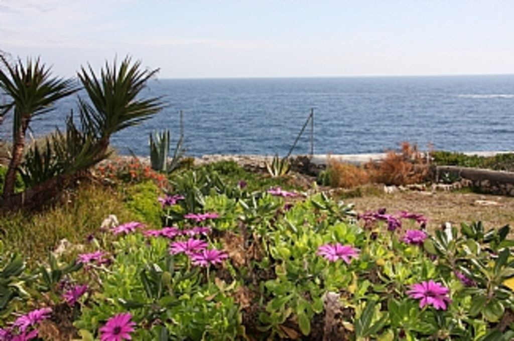 Photo of Outdoor in Cala Serena