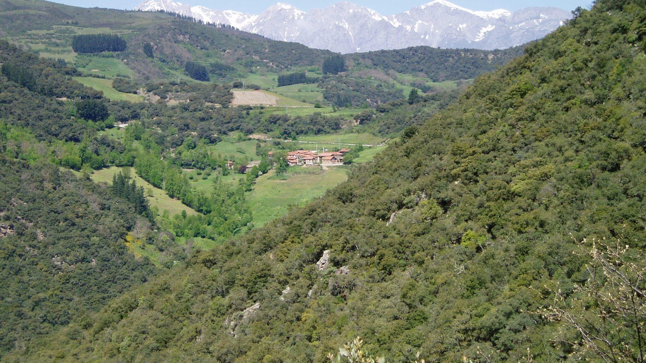 Photo of Others in Cabezon de Liebana