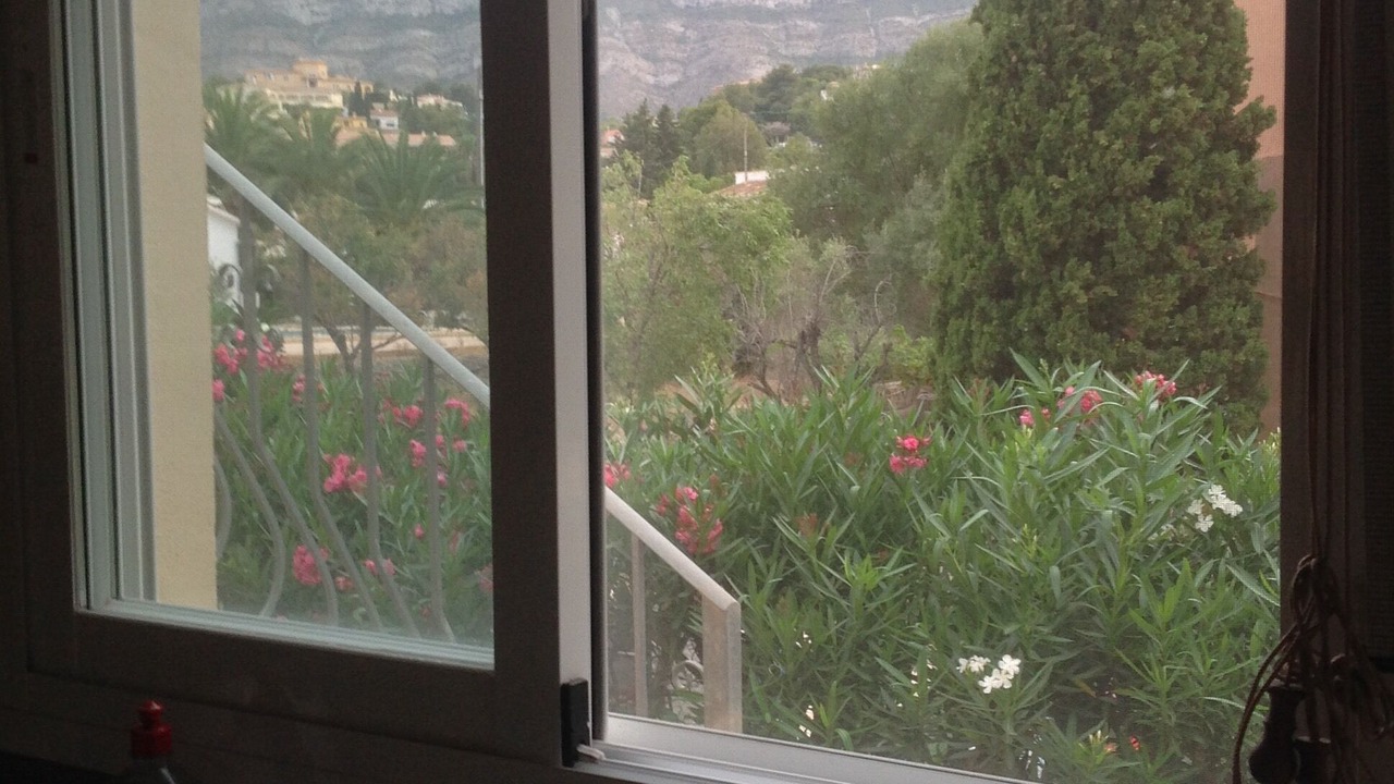 Photo of Others in Denia
