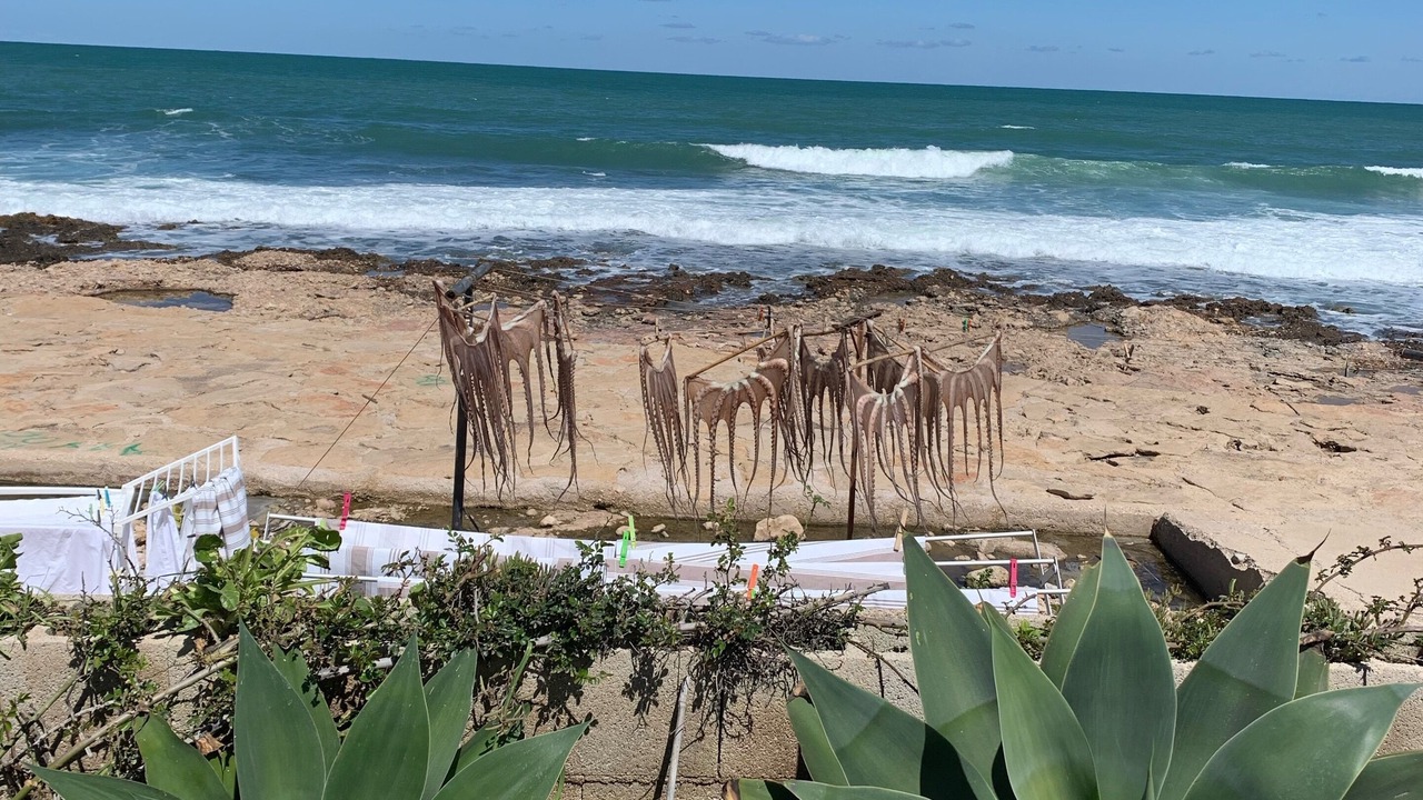 Photo of Others in Denia