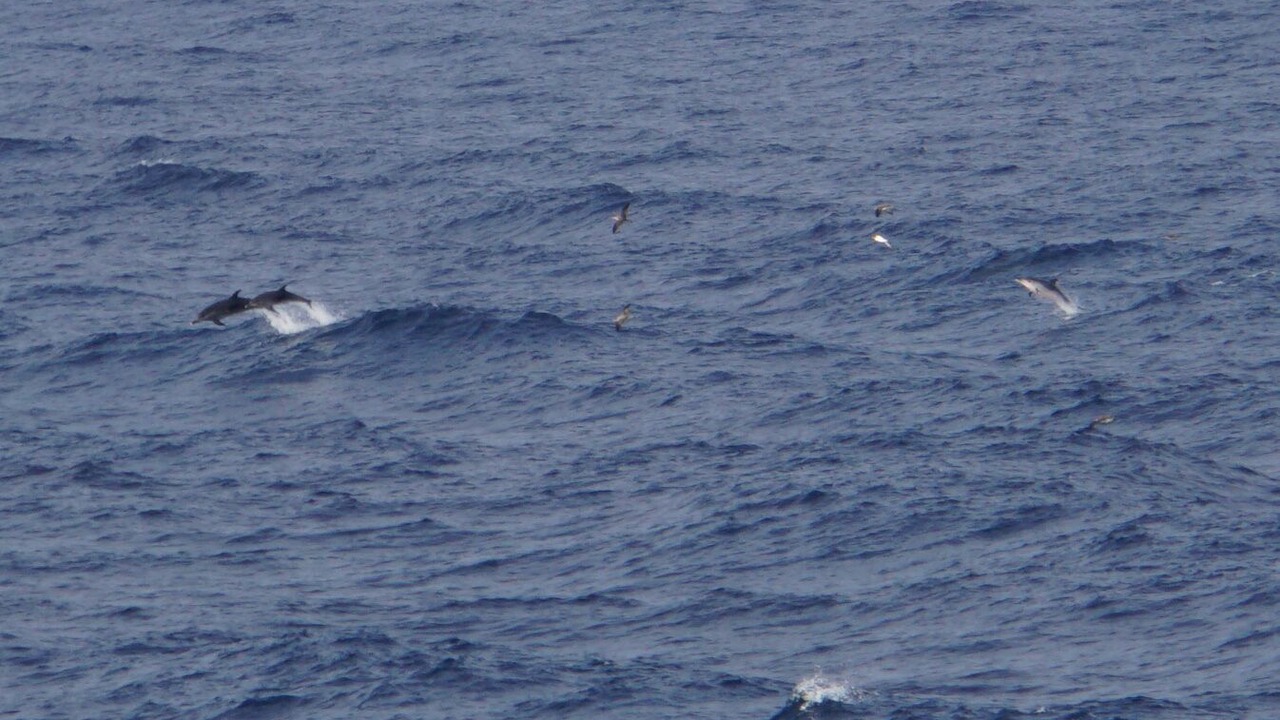 Photo of Others in La Cala del Moral