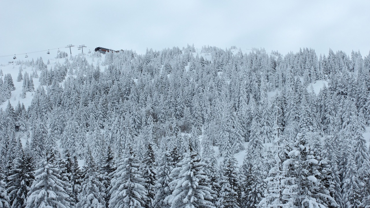 Photo of Outdoor in Lelex