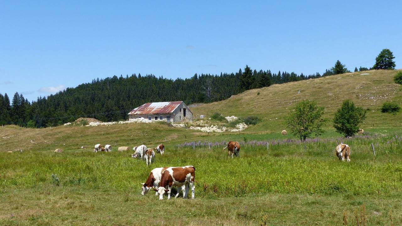Photo of Outdoor in Lelex