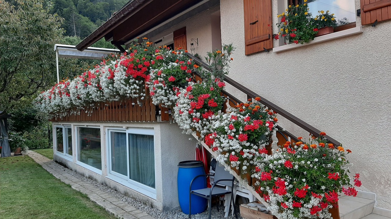 Photo of Outdoor in Thones