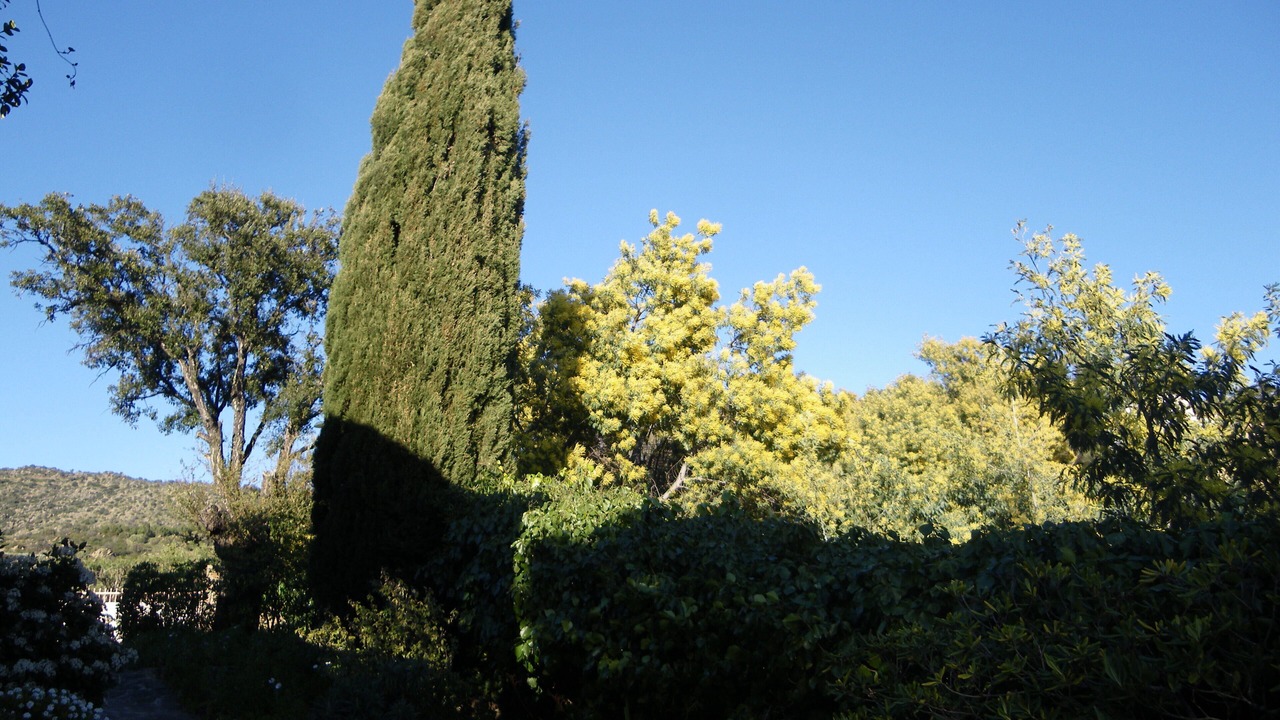 Photo of Outdoor in Le Lavandou