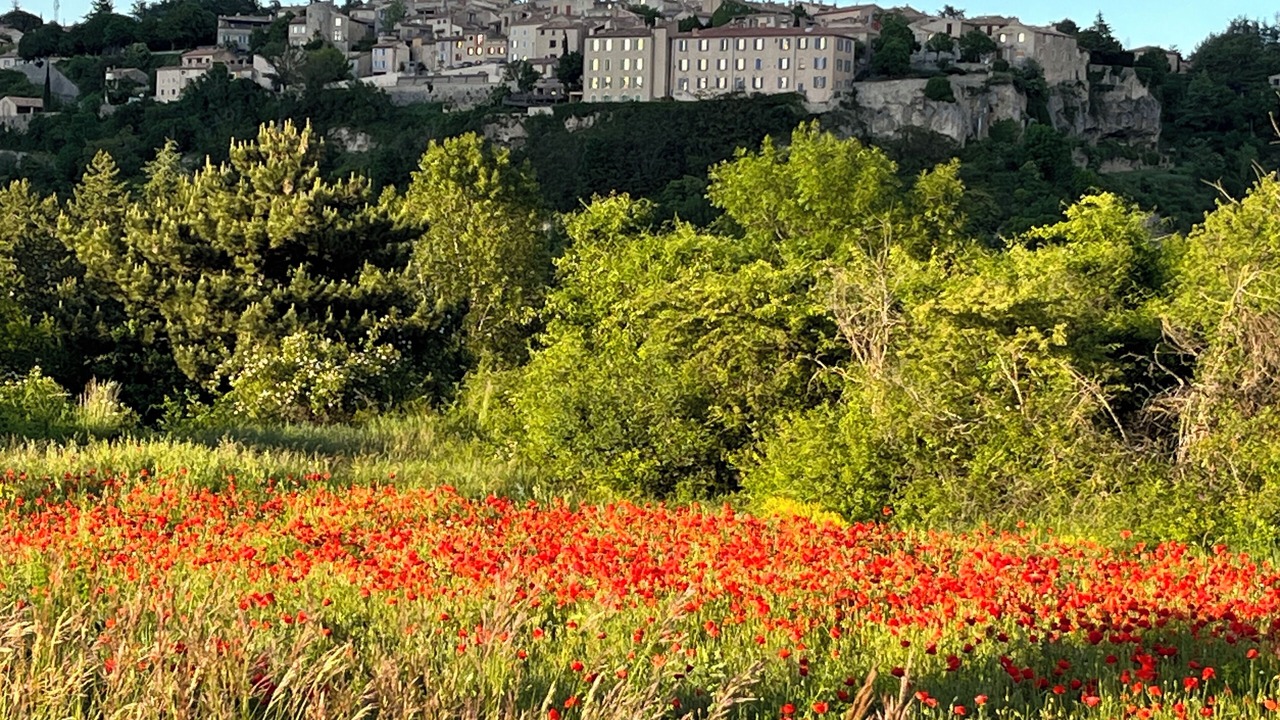 Photo of Outdoor in Monieux