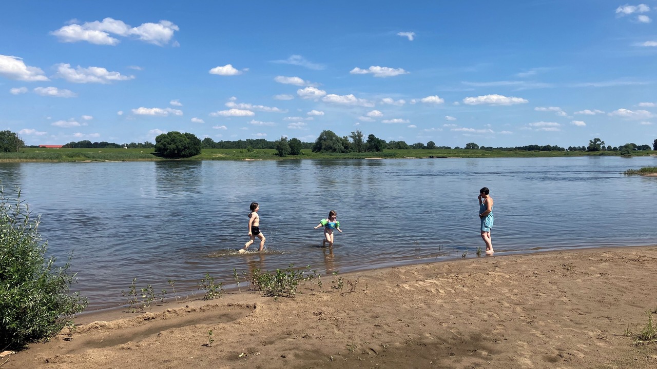 Photo of Others in Schwabstedt