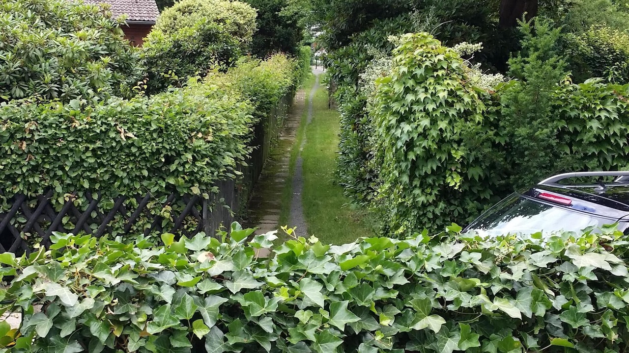 Photo of Outdoor in Region Hannover District