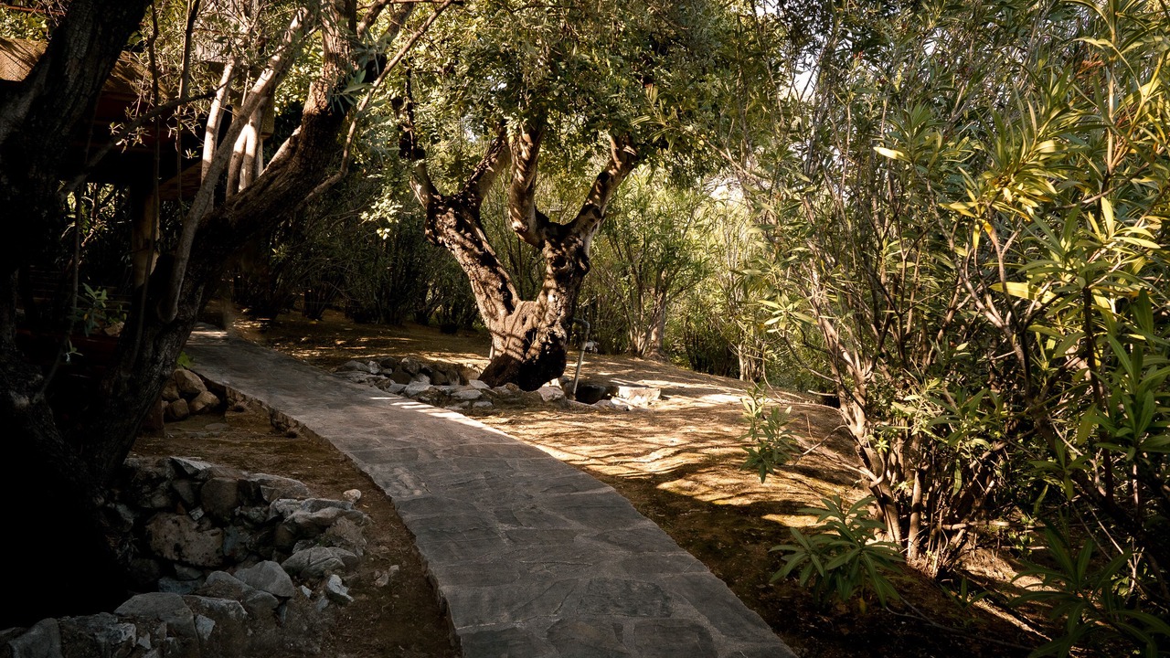 Photo of Outdoor in Rancho Domingo