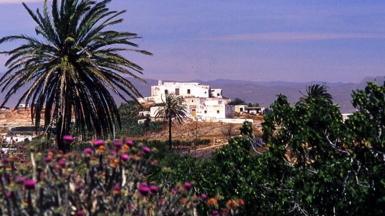 Photo of Others in Las Negras