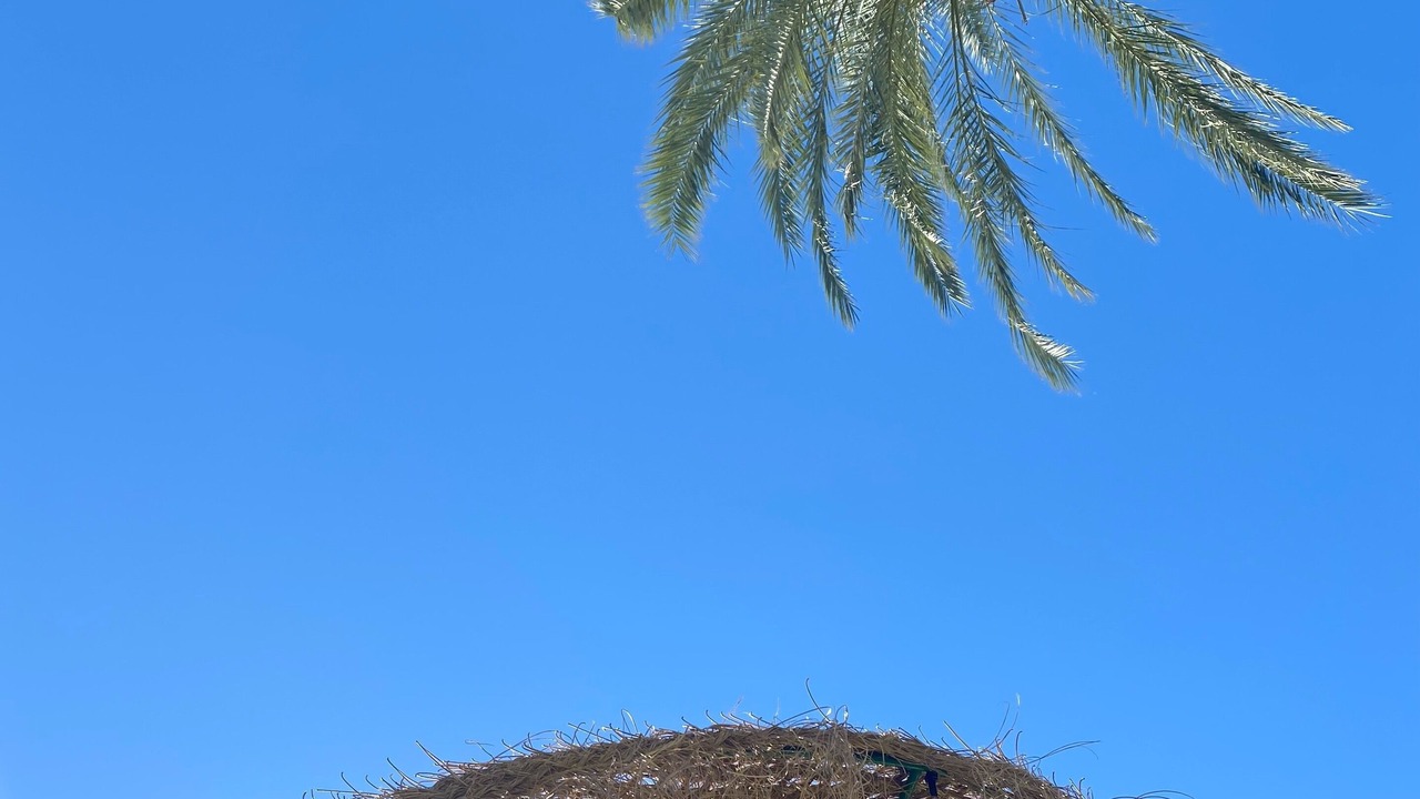 Photo of Outdoor in Benalmadena Costa