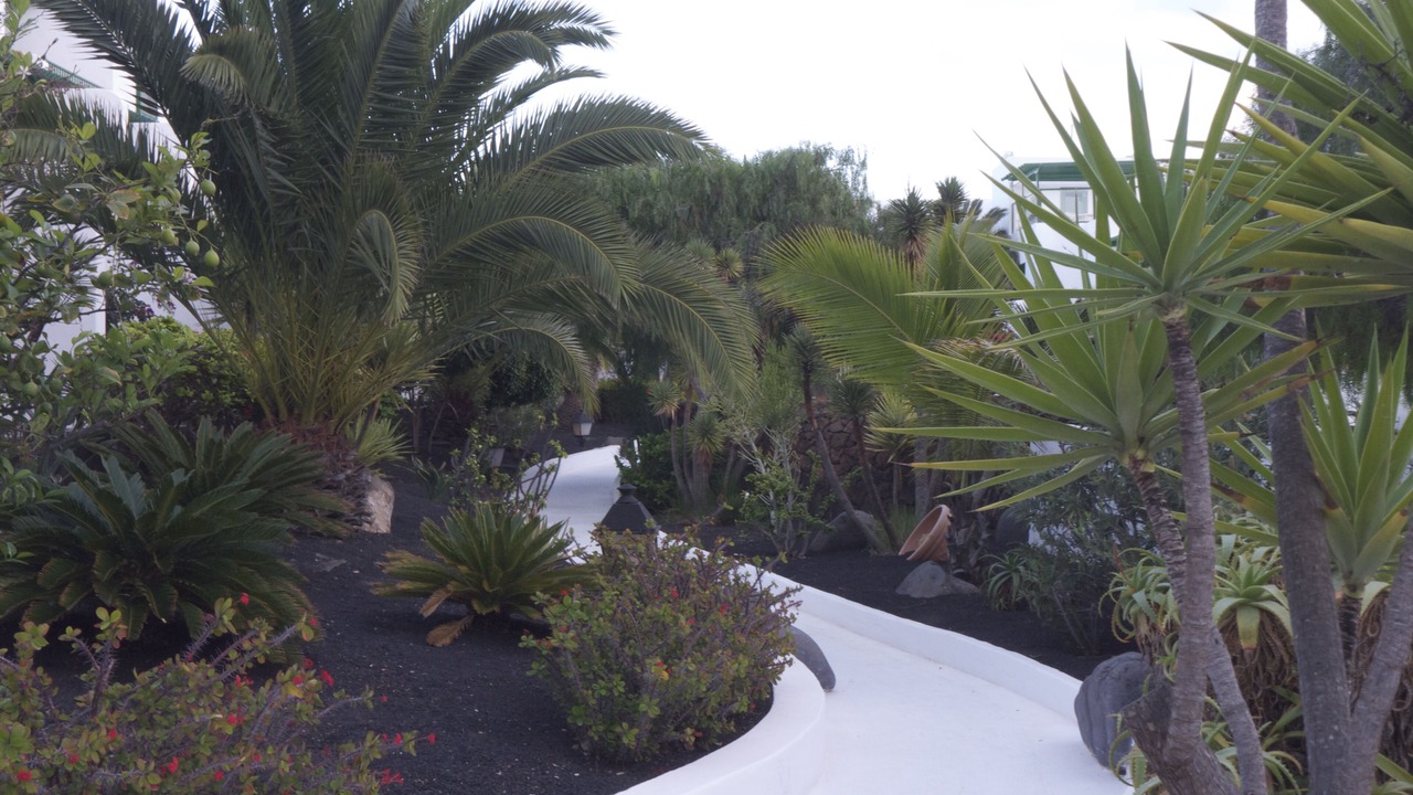 Photo of Outdoor in Costa Teguise