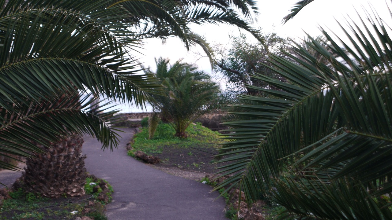 Photo of Outdoor in Costa Teguise