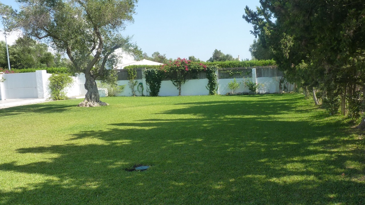 Photo of Outdoor in San Andres Golf