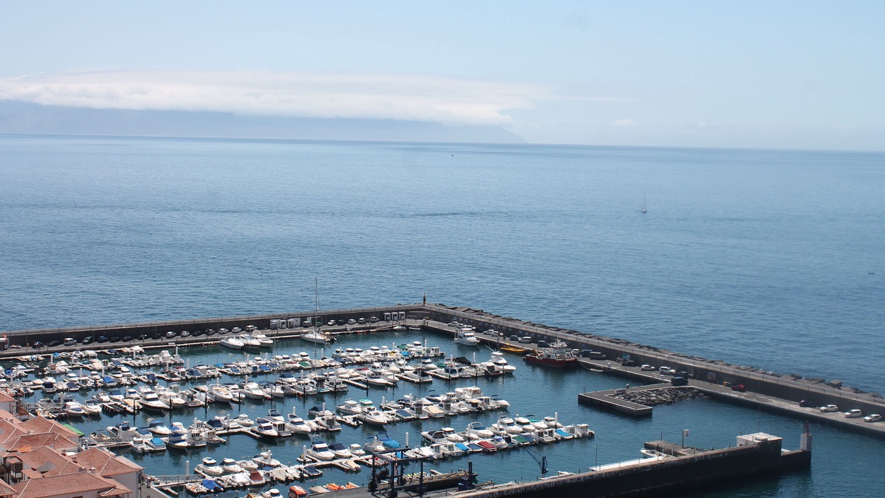 Photo of Others in Los Gigantes