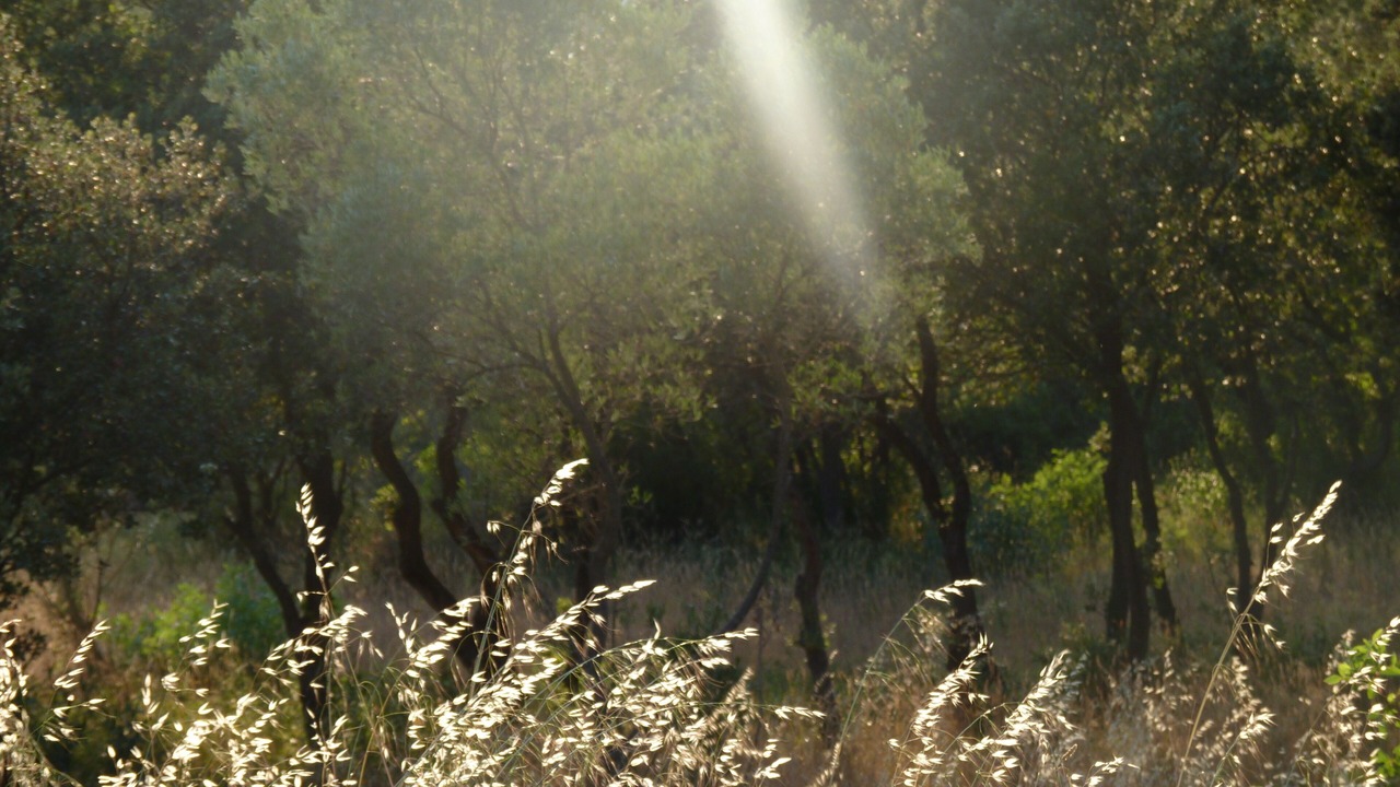 Photo of Outdoor in Miramas
