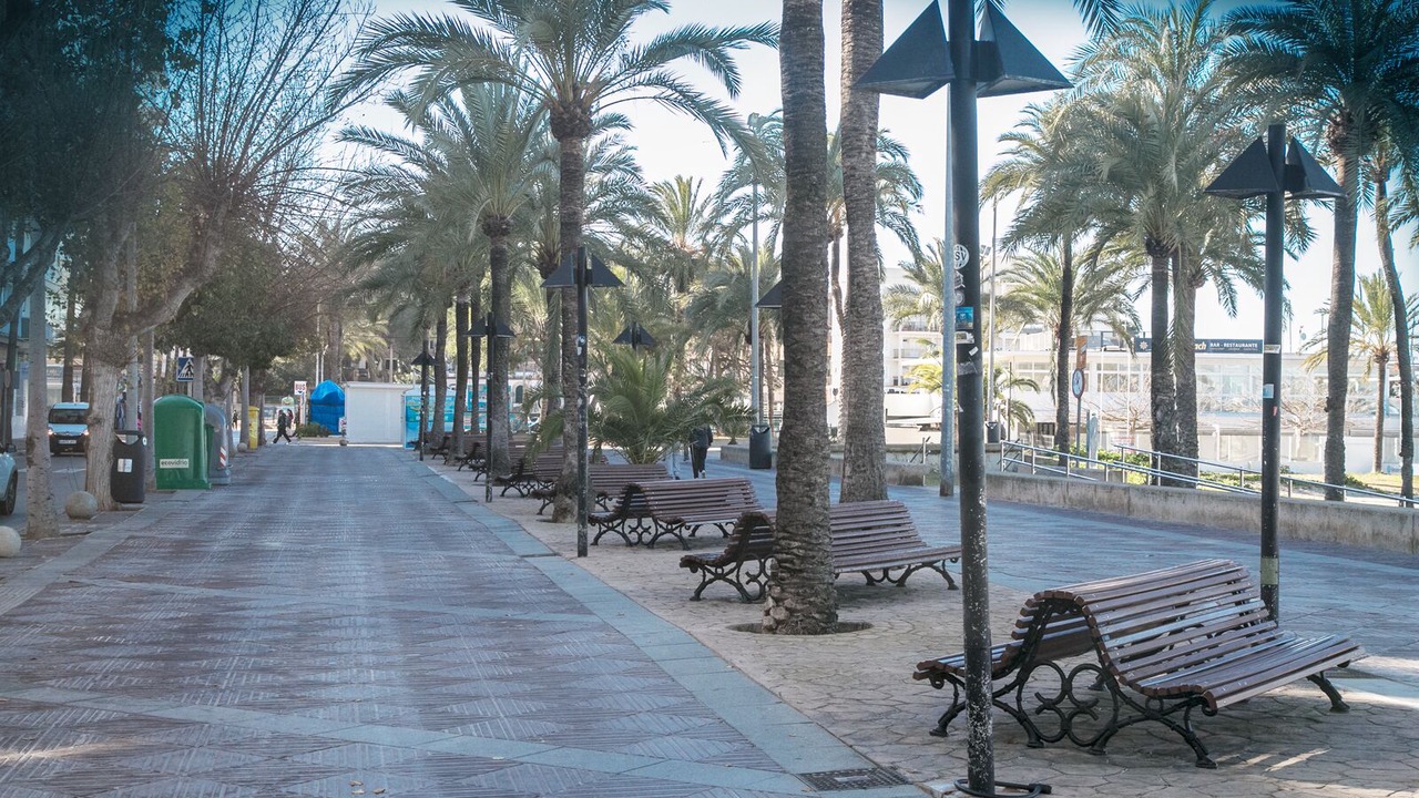 Photo of Outdoor in El Arenal