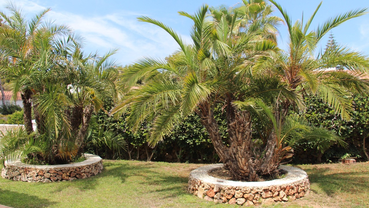 Photo of Outdoor in Port d'Addaia