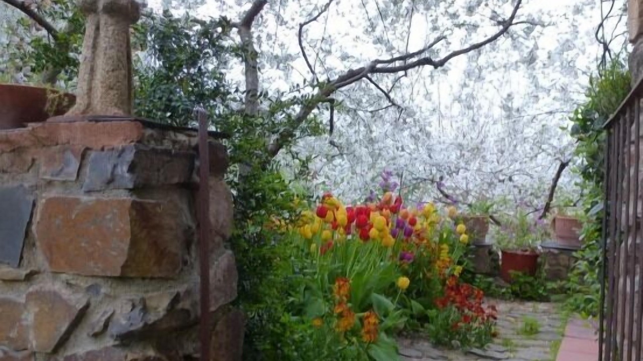 Photo of Outdoor in San Miguel del Robledo