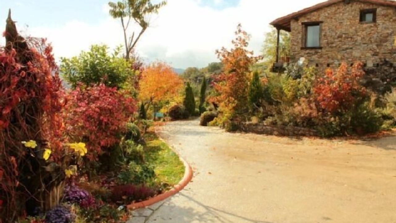 Photo of Outdoor in San Miguel del Robledo