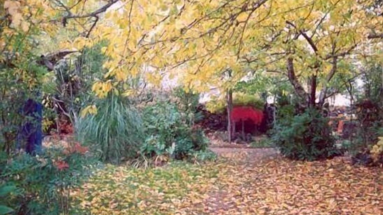 Photo of Outdoor in San Miguel del Robledo