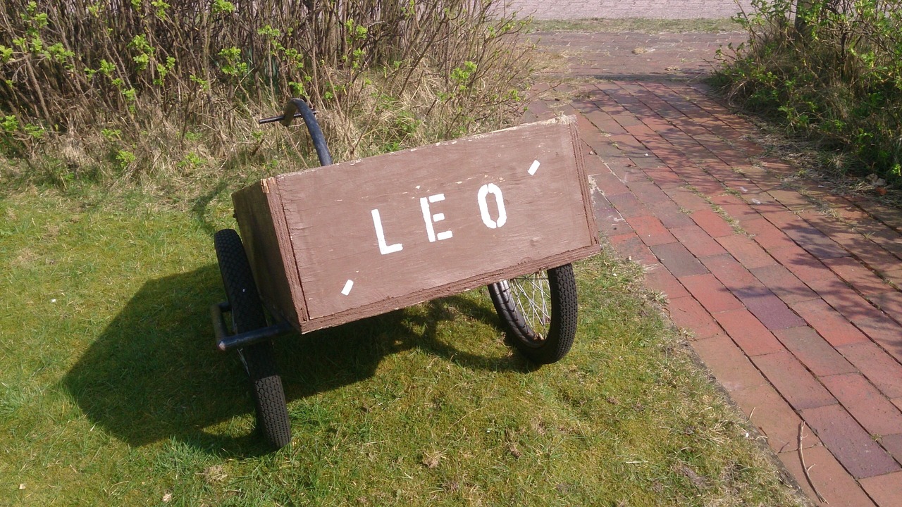 Photo of Others in Baltrum