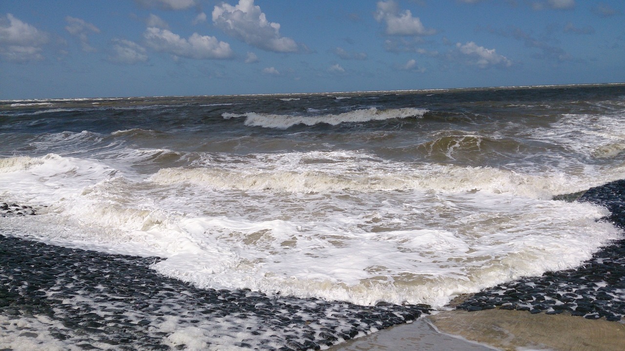 Photo of Others in Baltrum