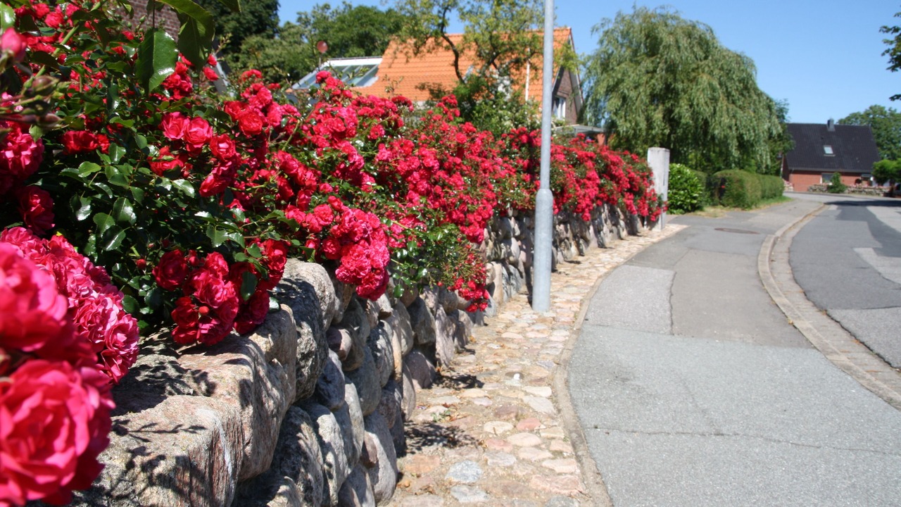 Photo of Outdoor in Toenning