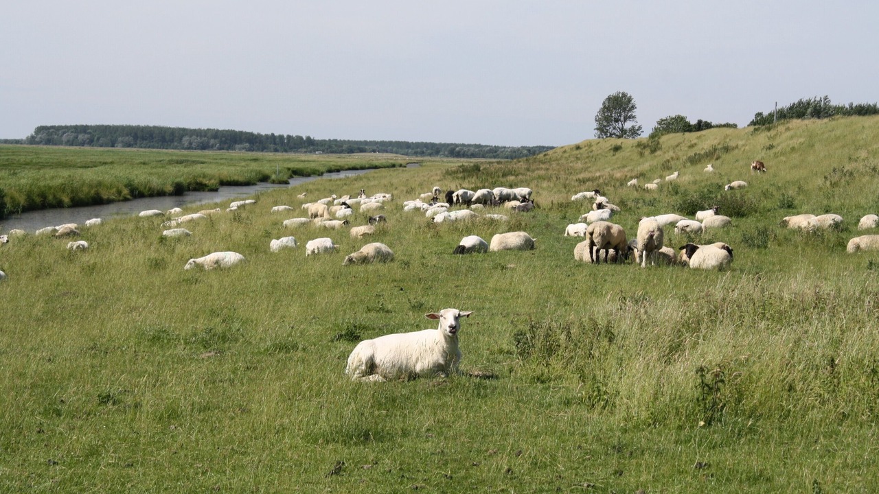 Photo of Outdoor in Toenning