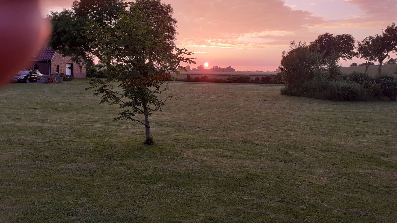 Photo of Outdoor in Friedrichskoog