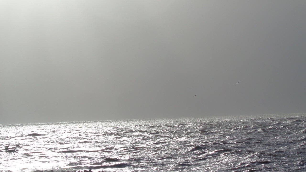 Photo of Others in Friedrichskoog