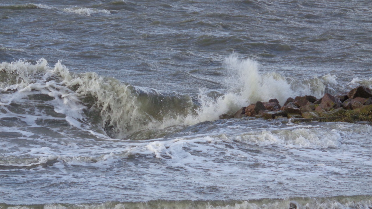 Photo of Others in Friedrichskoog