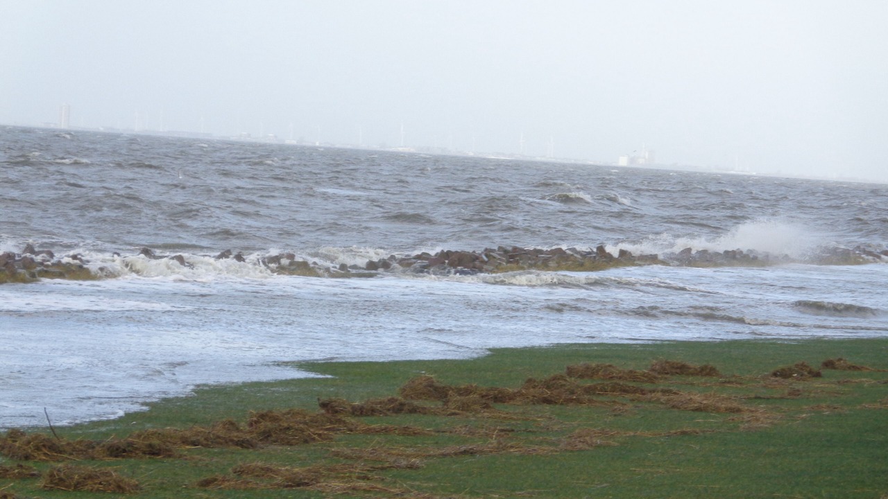 Photo of Others in Friedrichskoog