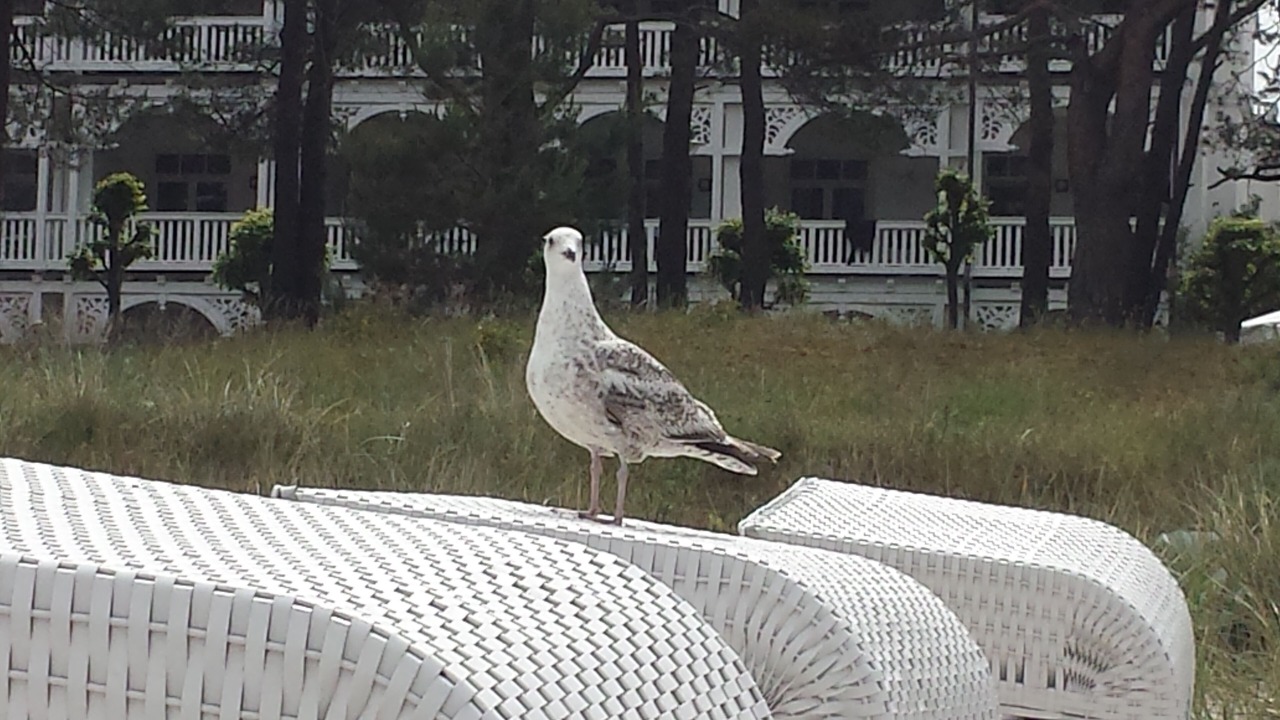 Photo of Outdoor in Binz