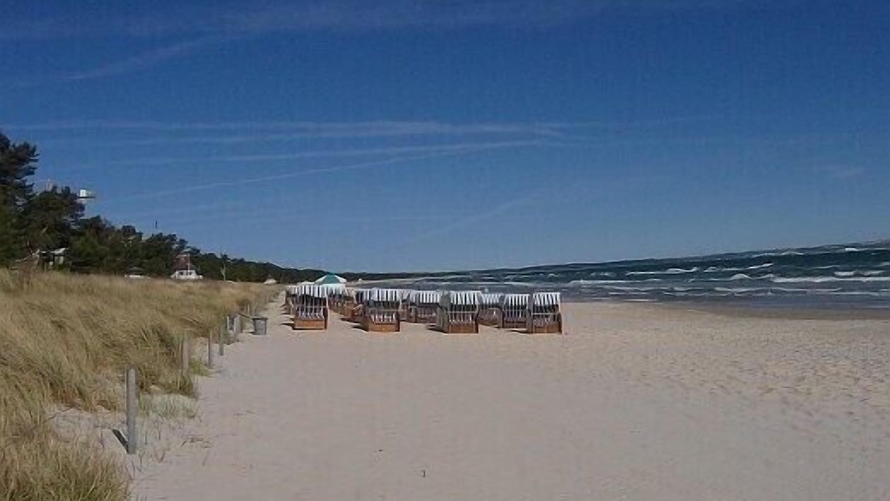 Photo of Others in Binz
