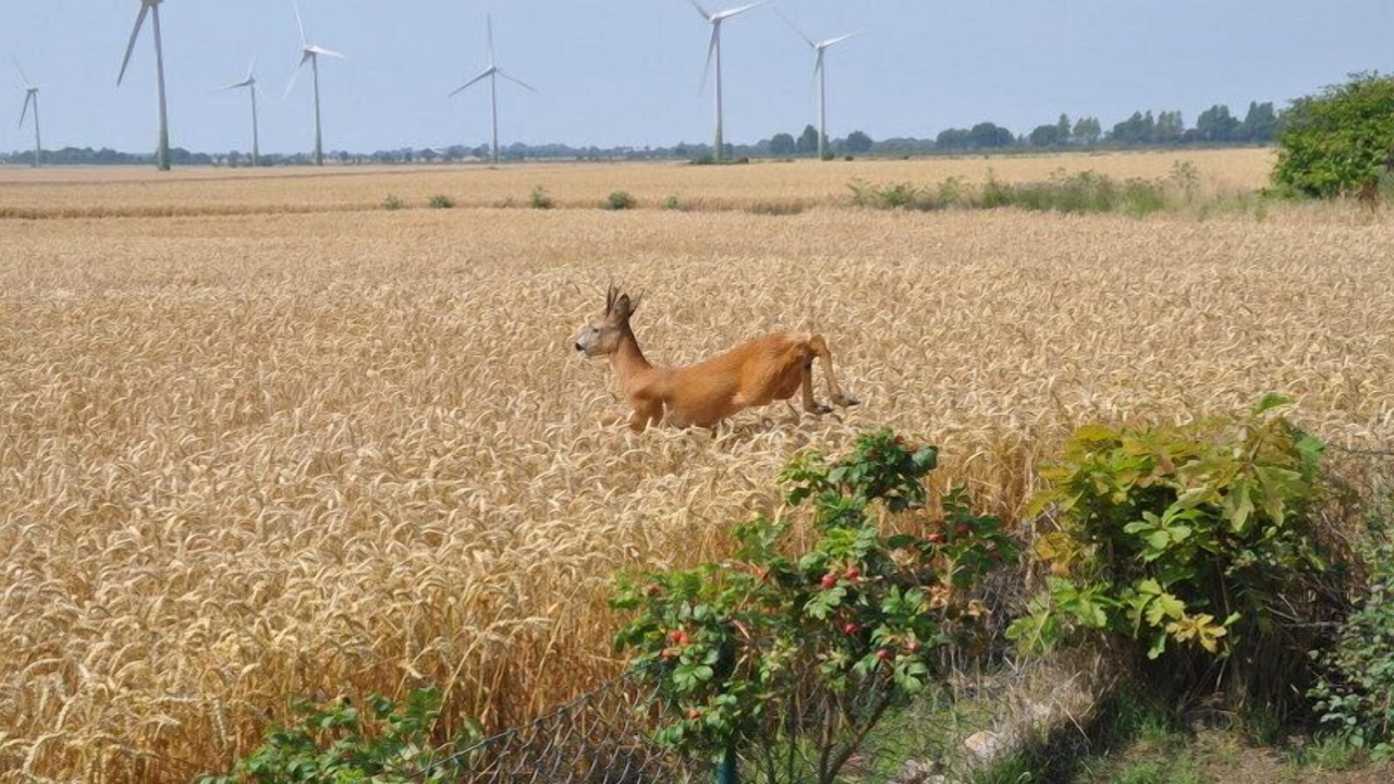 Photo of Outdoor in Marienleuchte